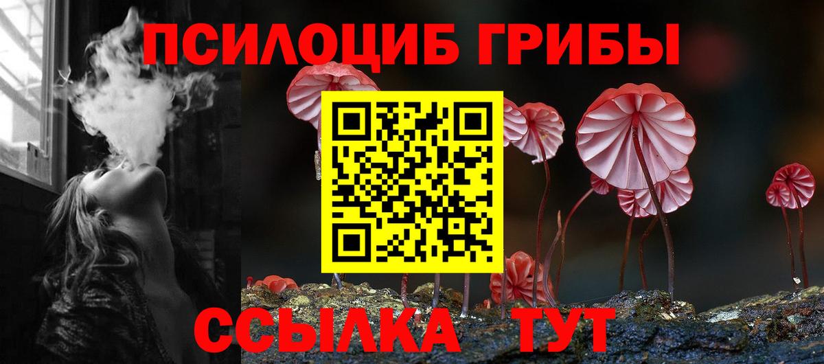 Псилоцибиновые грибы MAGIC MUSHROOMS  Псилоцибиновые грибы мицелий  Вход с VPN  Малгобек 