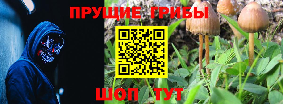 Псилоцибиновые грибы мухоморы Малгобек